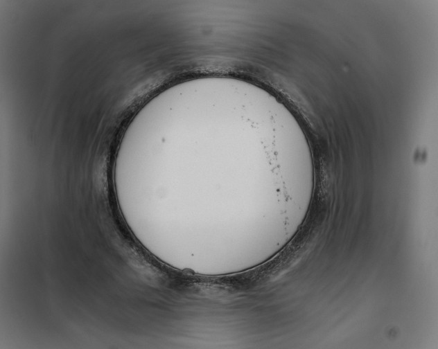 X0000101390681200807280938
