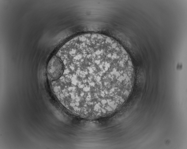 X0000101390683200807280938