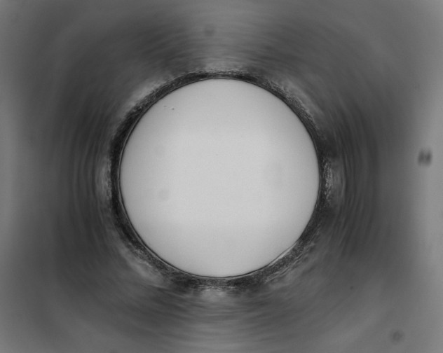 X0000101390684200807280938