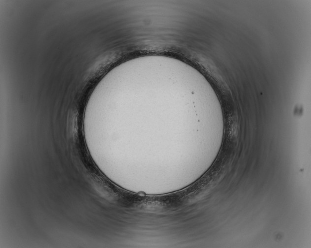 X0000101390685200807280938