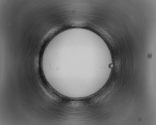 X0000101390686200807280938