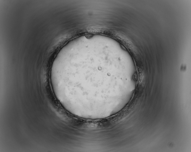 X0000101390687200807280938