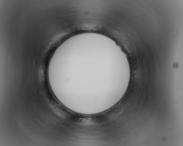 X0000101390688200807280938