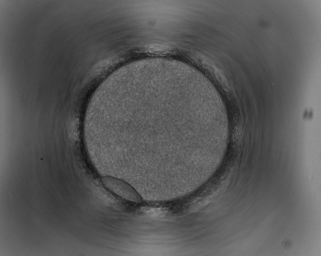 X0000101390689200807280938
