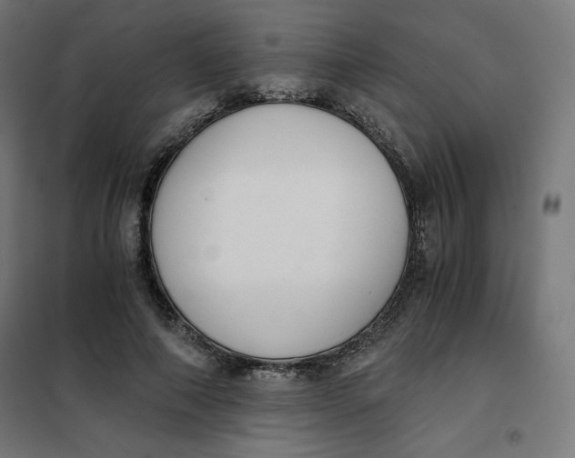 X0000101390690200807280938
