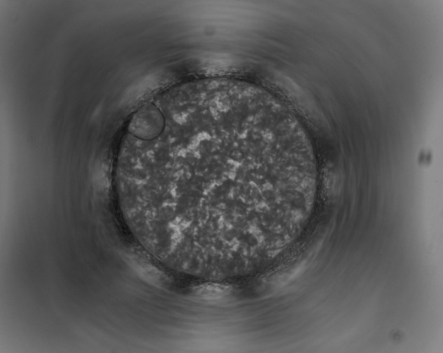 X0000101390691200807280938