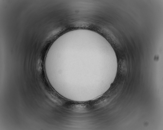 X0000101390692200807280938