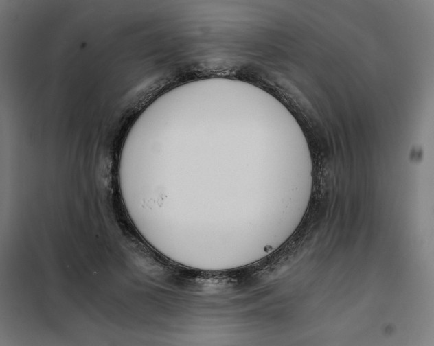 X0000101390693200807280938