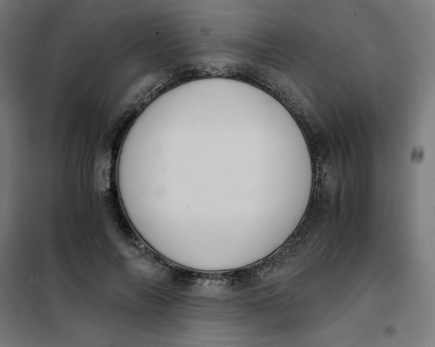 X0000101390694200807280938
