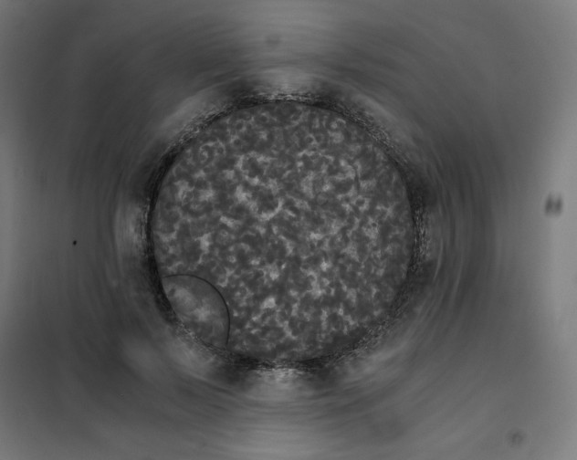 X0000101390695200807280938