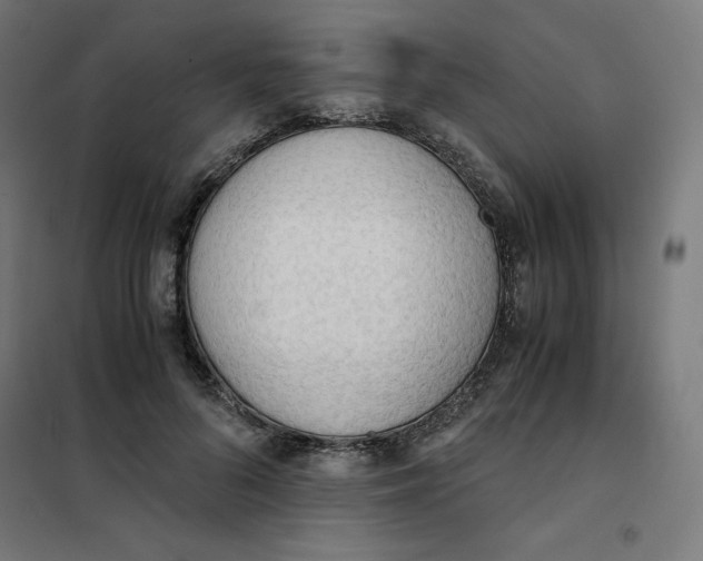 X0000101390696200807280938