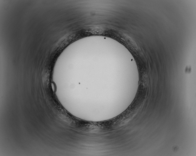 X0000101390697200807280938