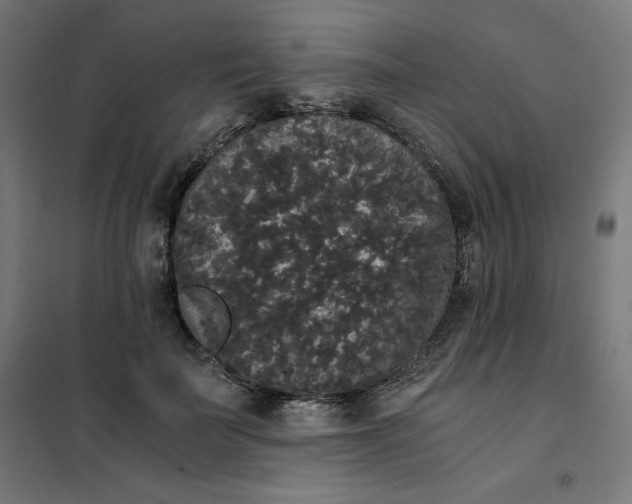 X0000101390699200807280938