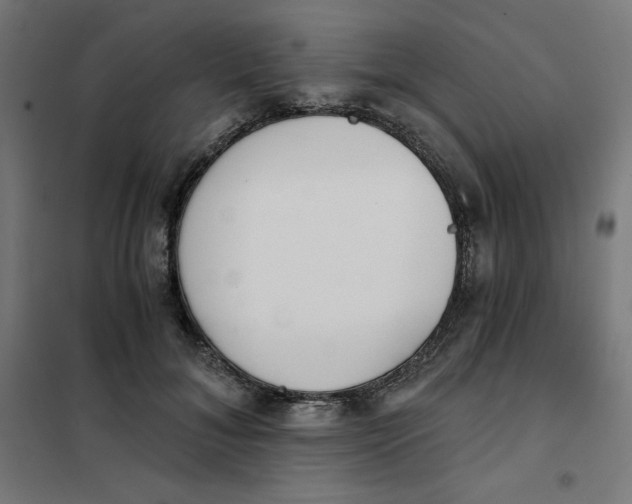 X0000101390700200807280938