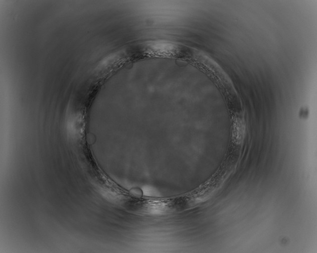 X0000101390701200807280938