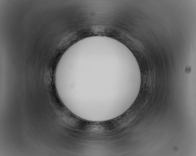 X0000101390702200807280938