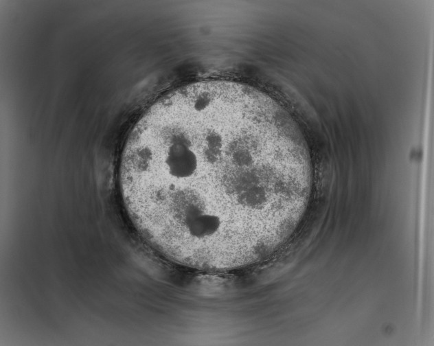 X0000101390703200807280938