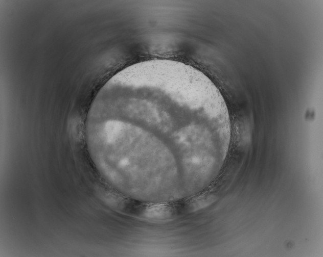 X0000101390705200807280938