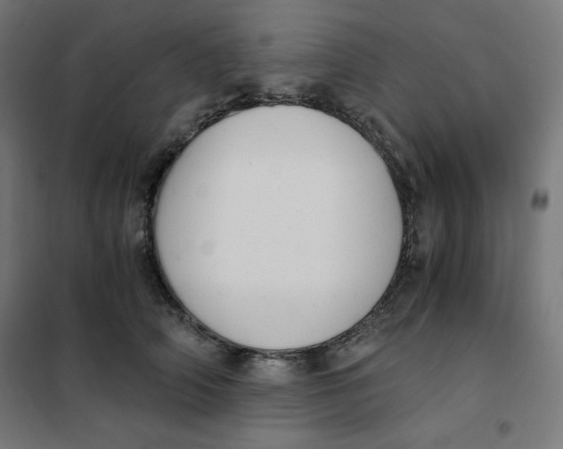X0000101390706200807280938
