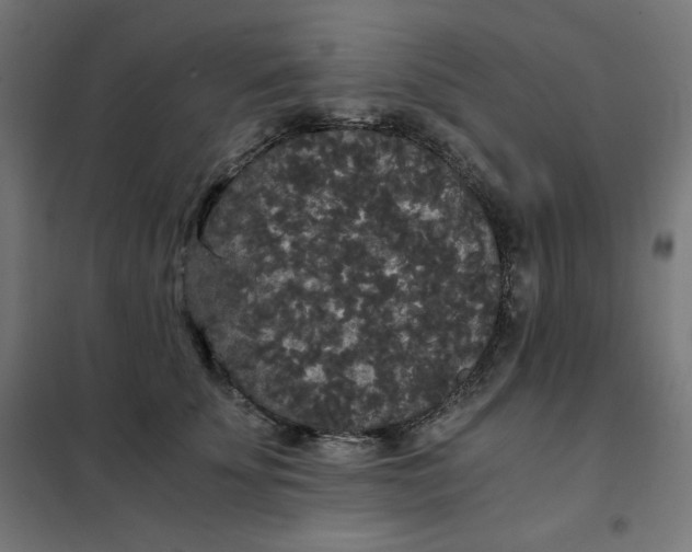 X0000101390707200807280938