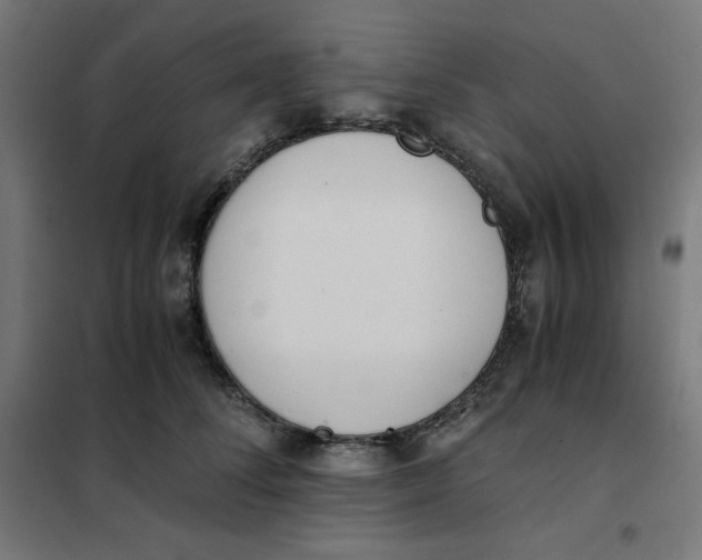 X0000101390708200807280938