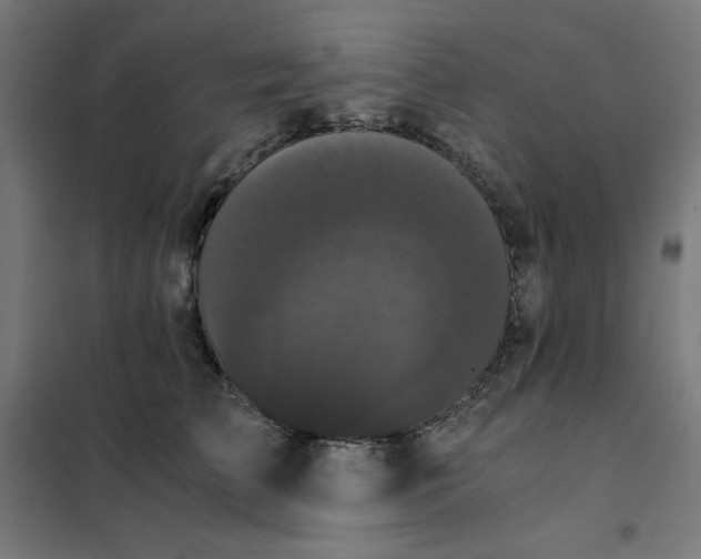 X0000101390709200807280938