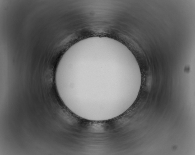 X0000101390710200807280938