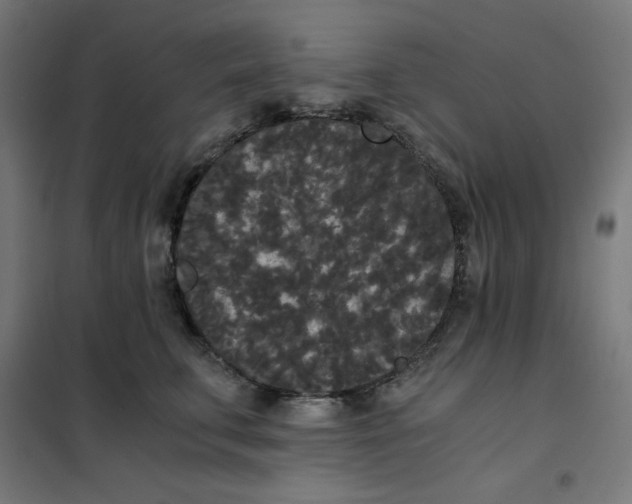X0000101390711200807280938