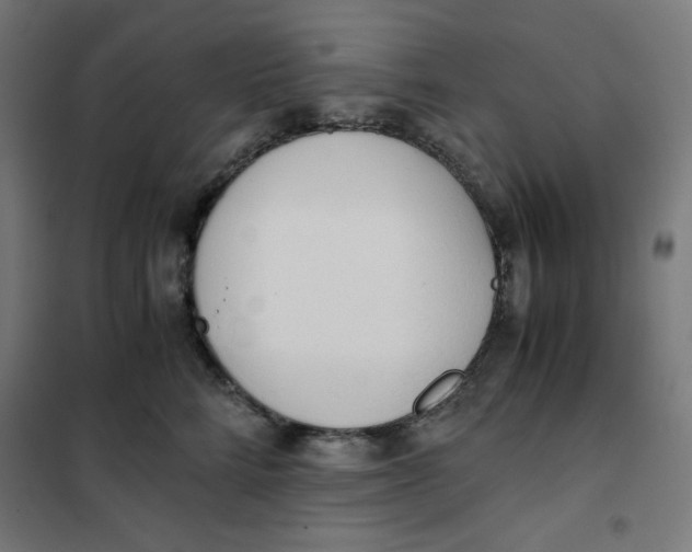 X0000101390712200807280938