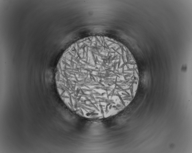 X0000101390715200807280938