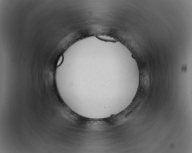 X0000101390716200807280938