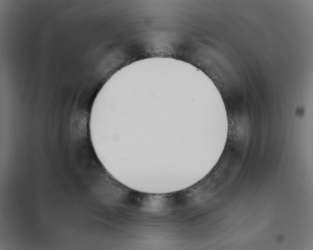 X0000101390717200807280938