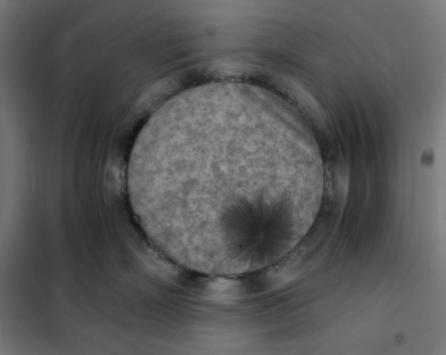 X0000101390718200807280938