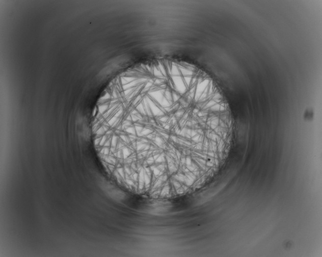 X0000101390719200807280938