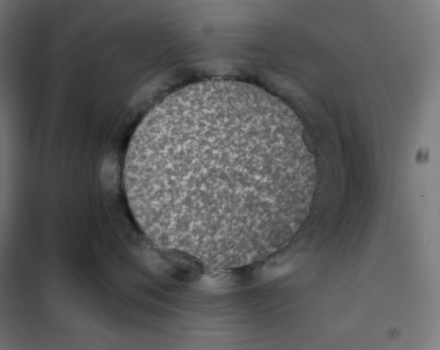 X0000101390720200807280938