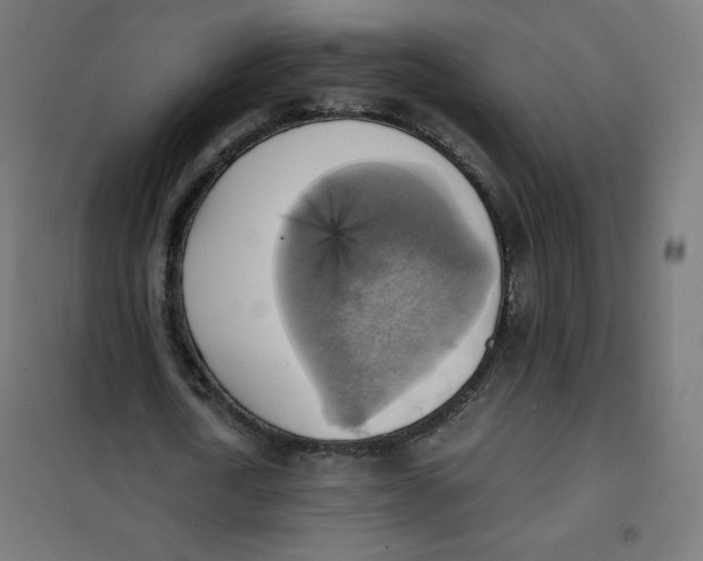 X0000101390722200807280937