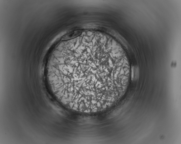 X0000101390723200807280937