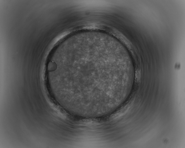 X0000101390724200807280937
