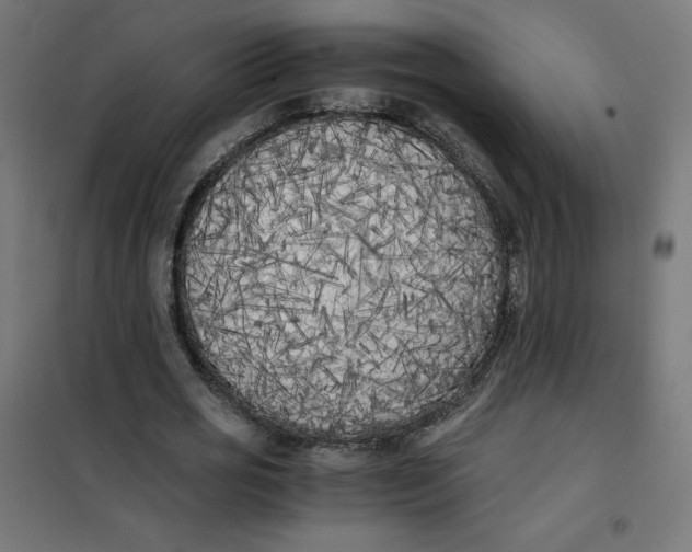X0000101390725200807280937