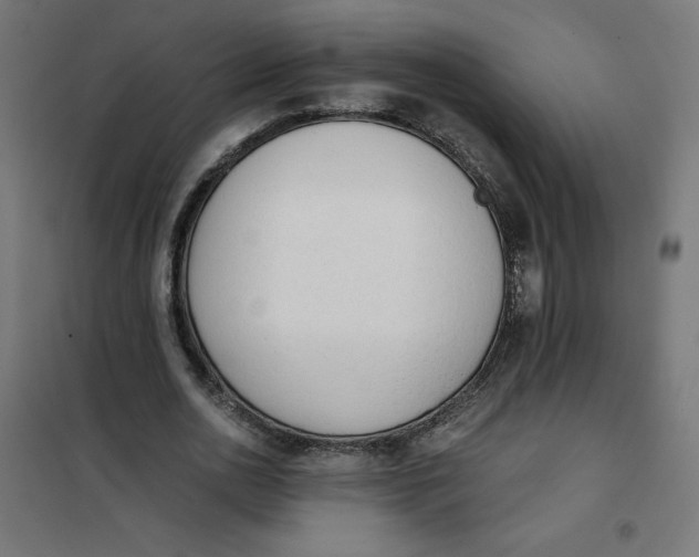 X0000101390726200807280937
