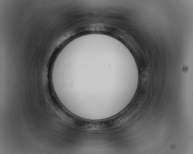 X0000101390727200807280937