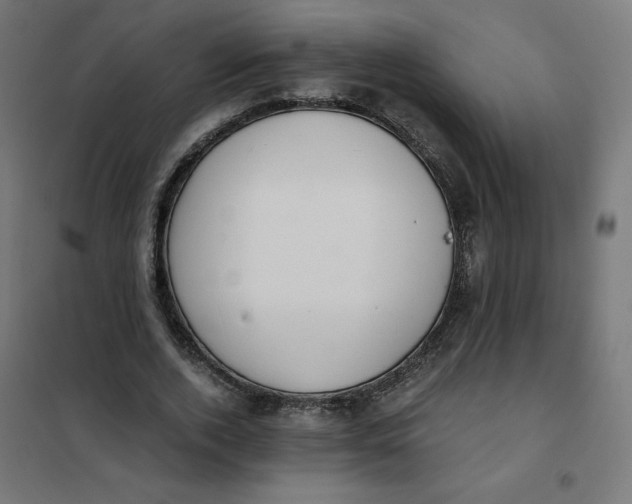 X0000101390728200807280937