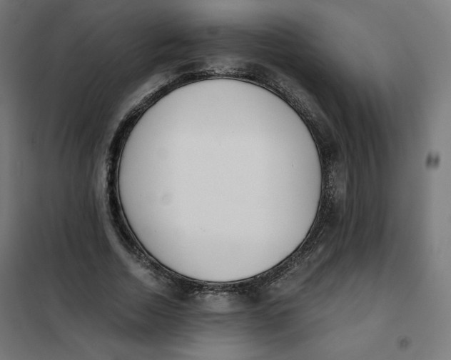 X0000101390730200807280937
