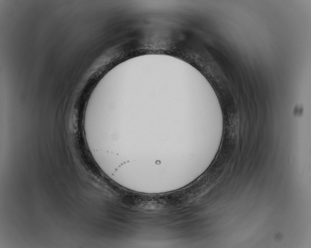 X0000101390731200807280937