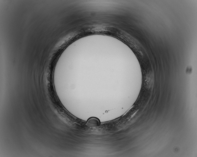 X0000101390732200807280937