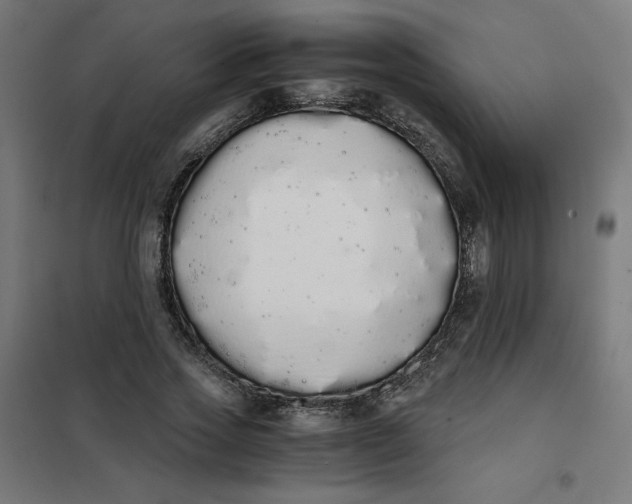 X0000101390733200807280937