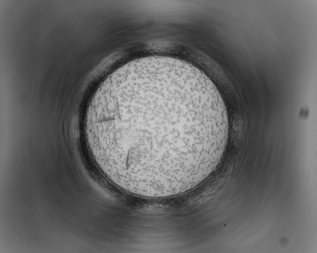 X0000101390734200807280937