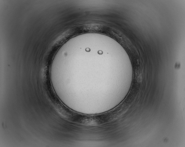 X0000101390735200807280937