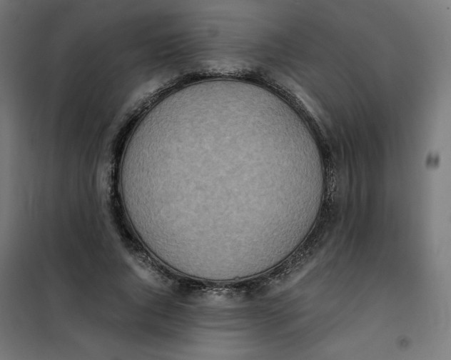 X0000101390736200807280937