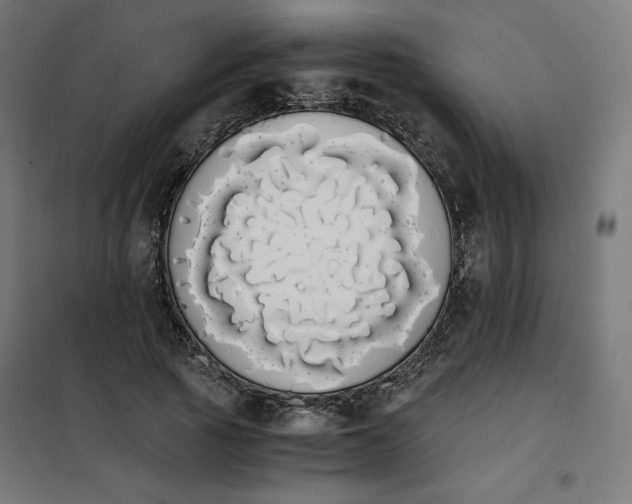 X0000101390737200807280937